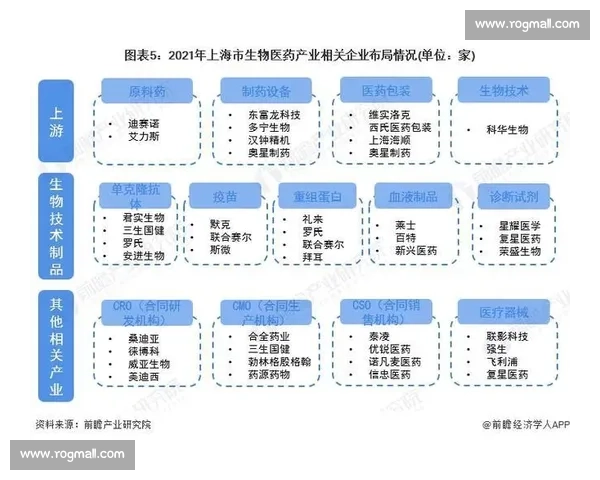 聚焦国内赛事发展全景解析竞技水平与产业升级新趋势路径观察报告