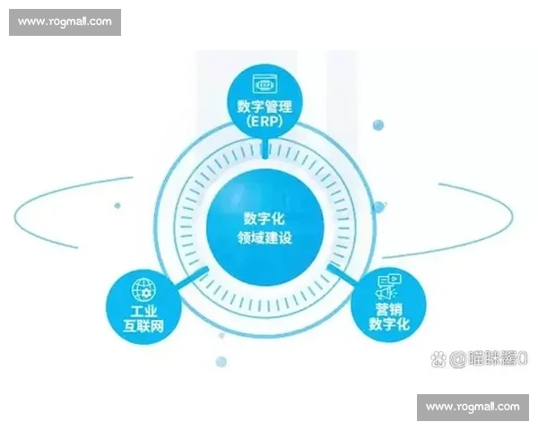 高质量发展背景下企业技术创新驱动数字化转型与智能升级战略路径研究